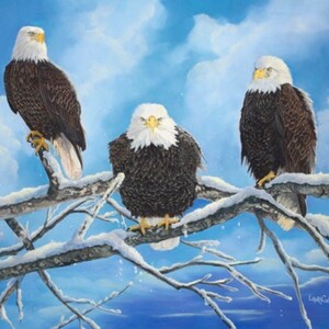 Eagles Warming in the Sun