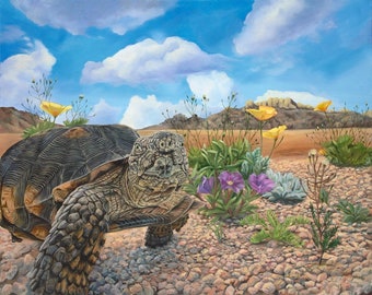 Desert Tortoise