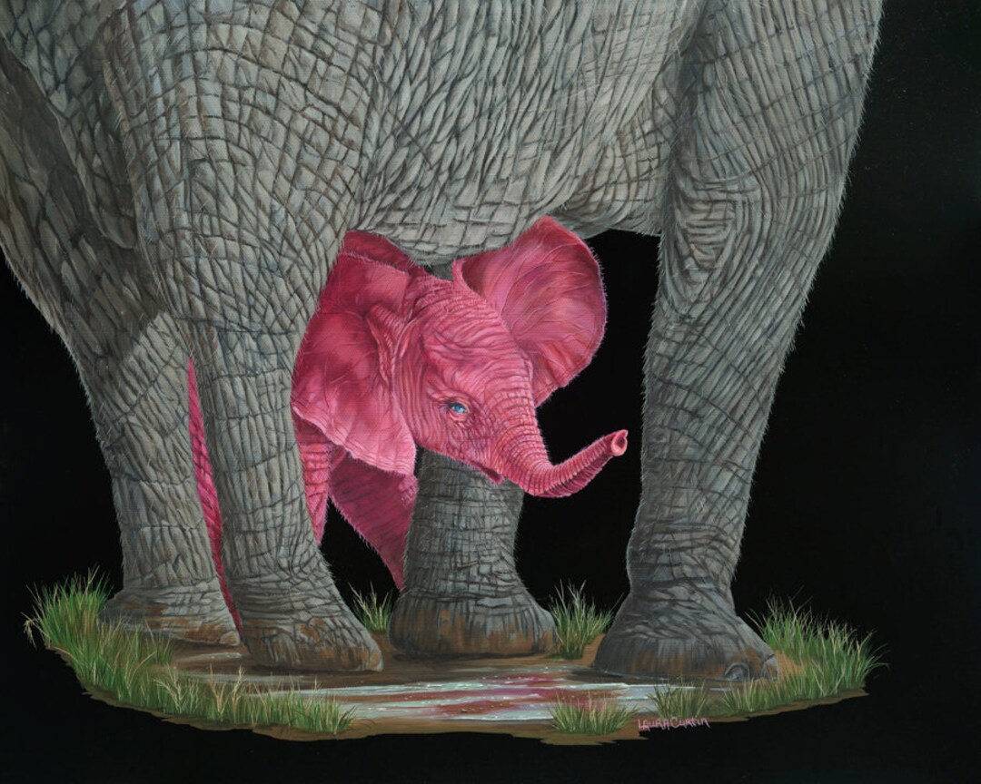 その他 Dwig Forget The Pink Elephant 2LP 12\" Pink Elephant | Total Meltdown version LP – Arcade Fire