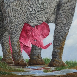Little Shy 8&quot; x 10&quot; Print - 11&quot; x 14&quot; with matting. Pink Elephants