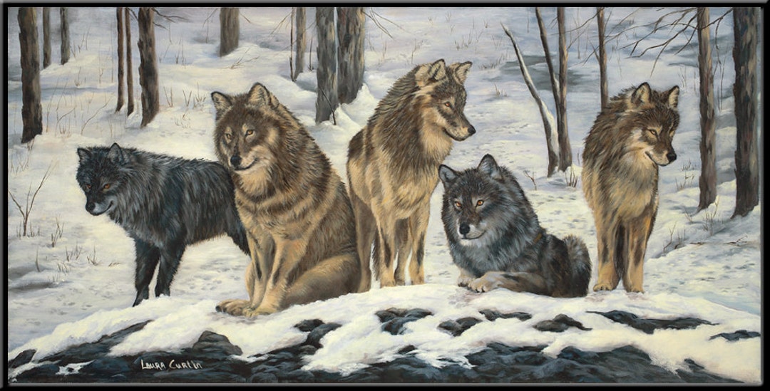 みー出品WOLFE C-quanta 12枚入り17セット Paws for the Moment 9