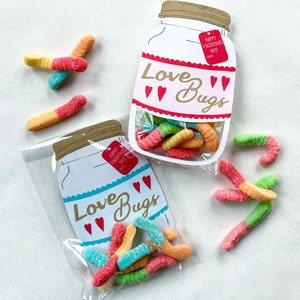 Love Bugs Valentines Day, printable Valentine, gummy worms in jar class Valentines printables image 3