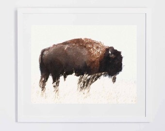Solonevich George Roanoke Virginia Signed Prints Buffalo From - Etsy
