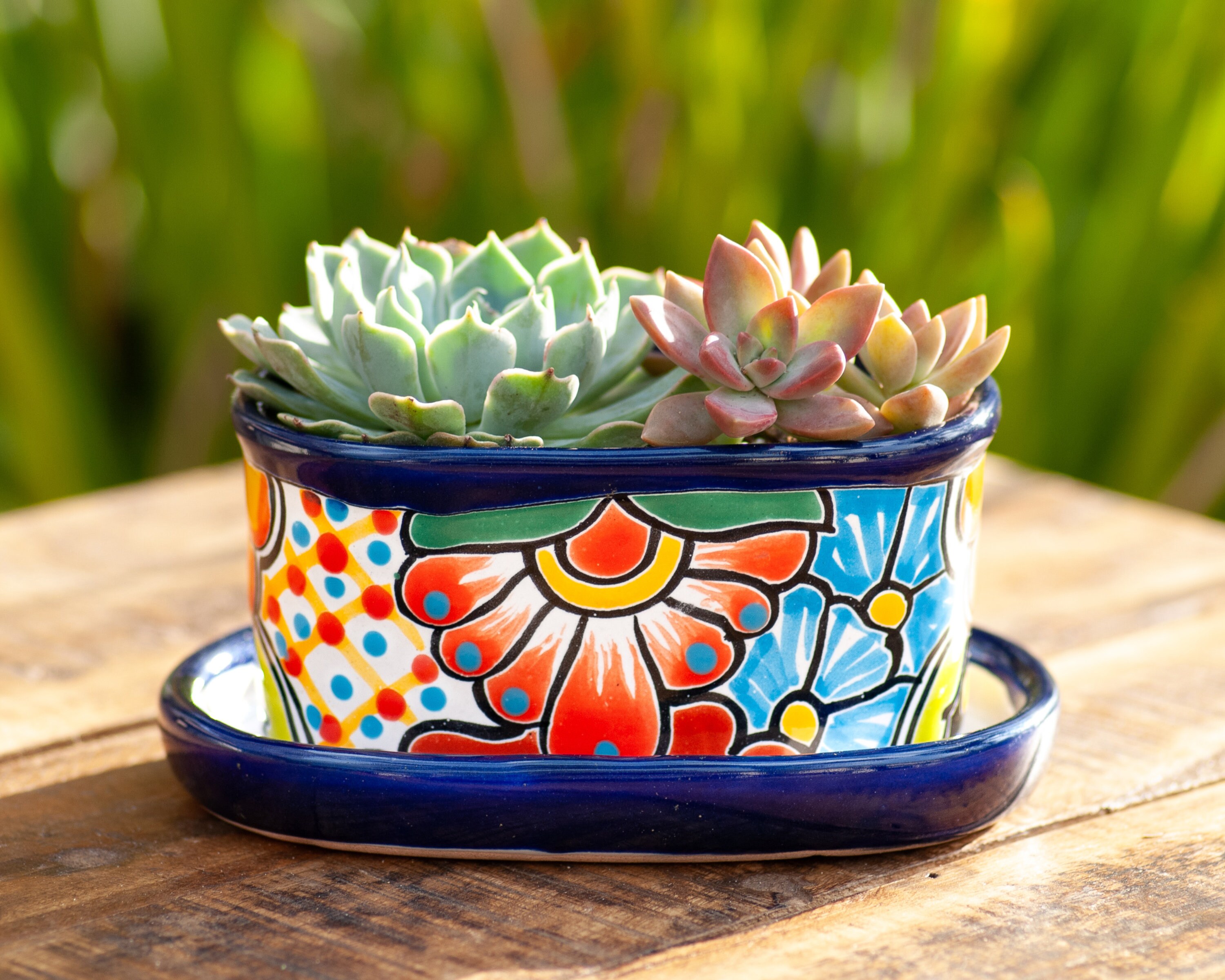 Mexican Talavera Pottery Ceramic Small Plant Pot Succulent Etsy Singapore