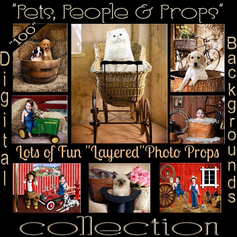 Download Pet Supplies Urns Memorials K Digital Photography Backdrops For Pets Children S Studio Posing Props Photo And Photo Overlays Sandwich Layered Psd Portrait Settings