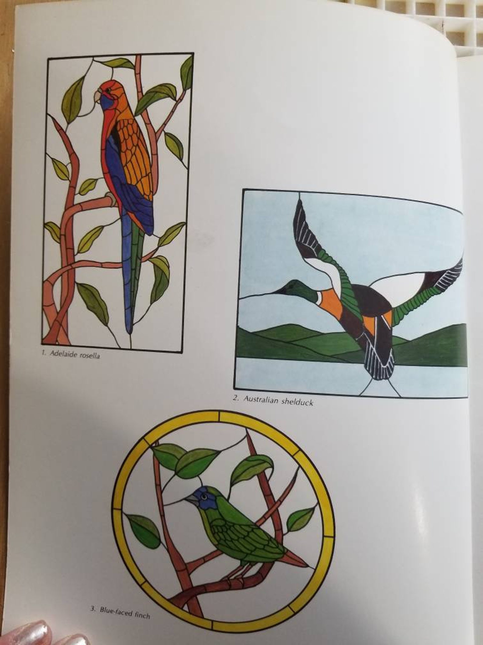 AUSTRALIAN BIRDS Stained Glass Pattern Books Etsy