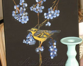 Sale! Hand-painted Varied Thrush Bird in a Berry Tree – Black Canvas