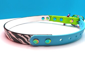 Riptide Biothane Collar & Leash Set – Handpainted Zebra Stripes, Rainbow Hardware