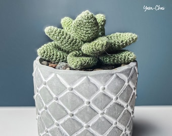 Pattern: Desktop Succulent Crochet Pattern PDF (Crochet Cactus Succulent Plant Pattern by Yarn + Chai)