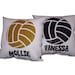 see more listings in the VOLLEYBALL section