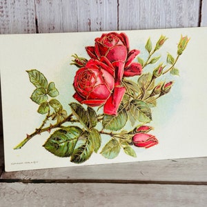 1909 Antique Postcard - Red Roses with Gilding - Victorian - Edwardian - Unused - Ephemera