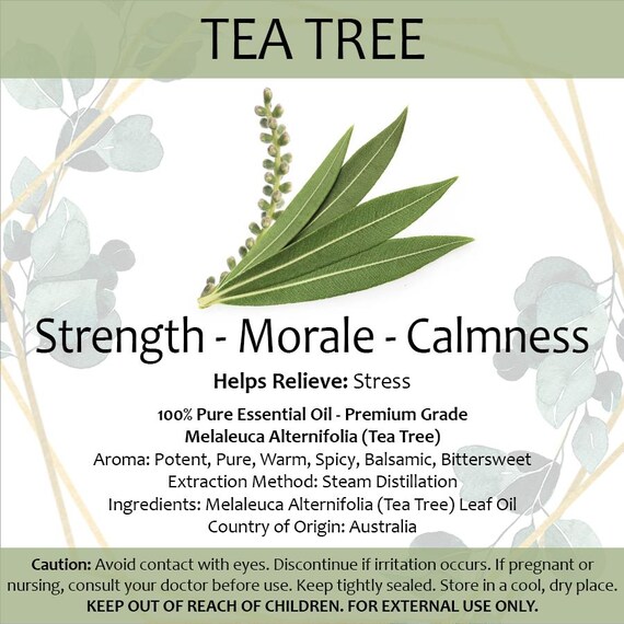 Tea Tree Essential Oil • Small 2ml Portable Diffuser Oil Aromatherapy • Strength • Morale • Calmness