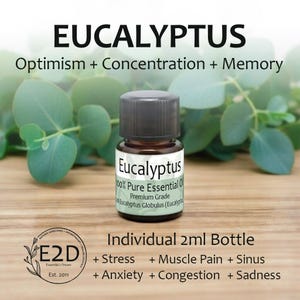 May include: A small brown glass bottle of eucalyptus essential oil with a black cap. The label reads "Eucalyptus 100% Pure Essential Oil." The image includes text: "Optimism + Concentration + Memory" and "Individual 2ml Bottle."