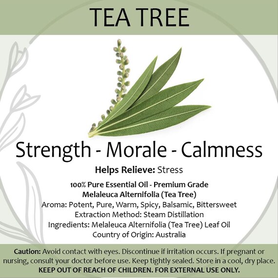 Tea Tree Essential Oil 2ml — Fresh Herbal Aromatherapy Sample