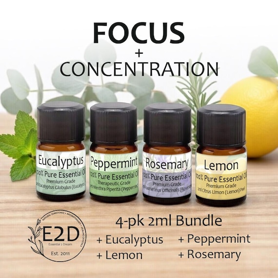 Focus + Concentration Essential Oil Bundle – Set of 4 2ml Bottles for Aromatherapy or Diffuser