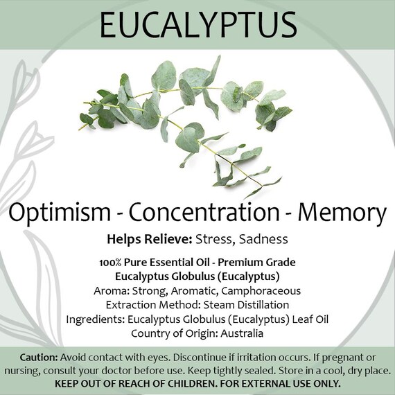 Eucalyptus Essential Oil 2ml — Fresh Herbal Aromatherapy