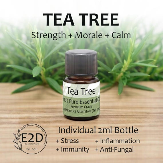 Refreshing Herbal Tea Tree Essential Oil for Strength, Calm & Aromatherapy (2ml)