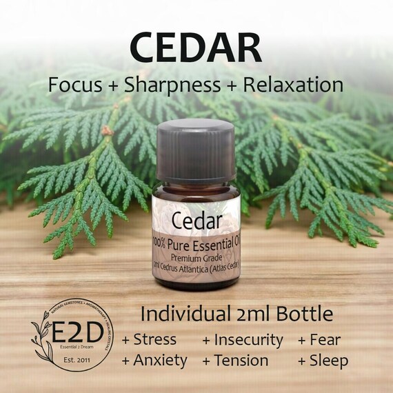 Grounding Cedar Wood Essential Oil for Anxiety Relief & Aromatherapy (2ml)