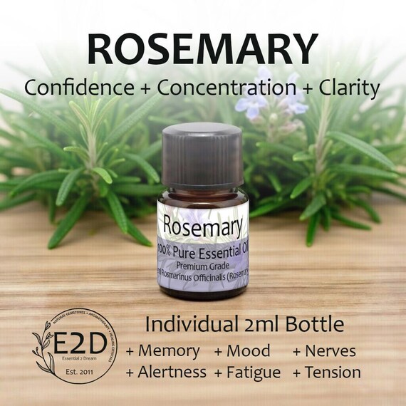 Sharp Herbal Rosemary Essential Oil for Focus & Aromatherapy (2ml)