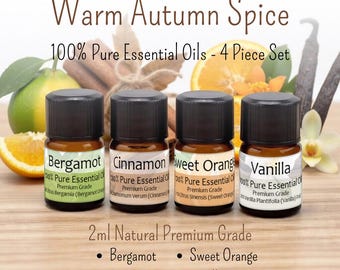 Warm Essential Oil Set of 4, Aromatherapy Diffuser Refills (2ml), Natural Perfume & Spicy Autumn Holiday Fragrance