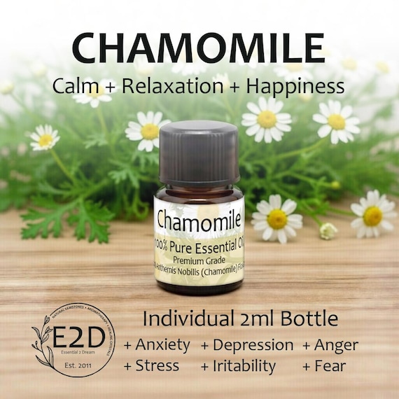 Calming Floral Chamomile Essential Oil for Relaxation & Aromatherapy (2ml)