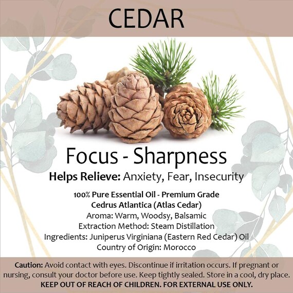 Cedar Essential Oil • Small 2ml Portable Diffuser Oil Aromatherapy • Focus • Anxiety Relief • Insecurity