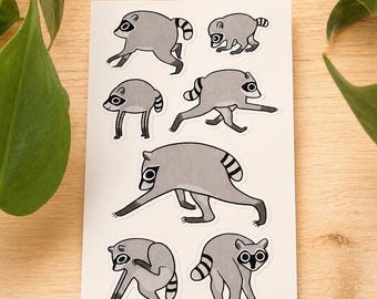 Jimothy the Raccoon Sticker Sheet | Funny Viral Raccoon Stickers | Silly Trash Panda Decals