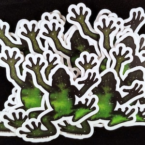 Galaxy Frog Vinyl Sticker
