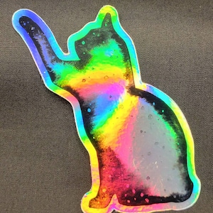 Holographic Galaxy Black and White Cat