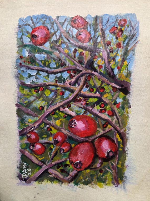 9x12 acrylic on handmade paper. Rosehips in the sun.