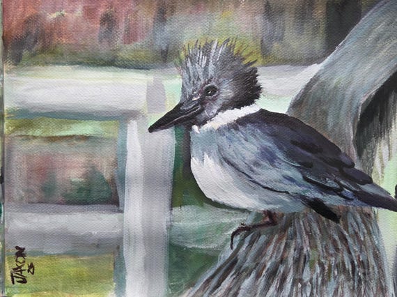 9x12 Original on watercolor paper ~ Belted Kingfisher