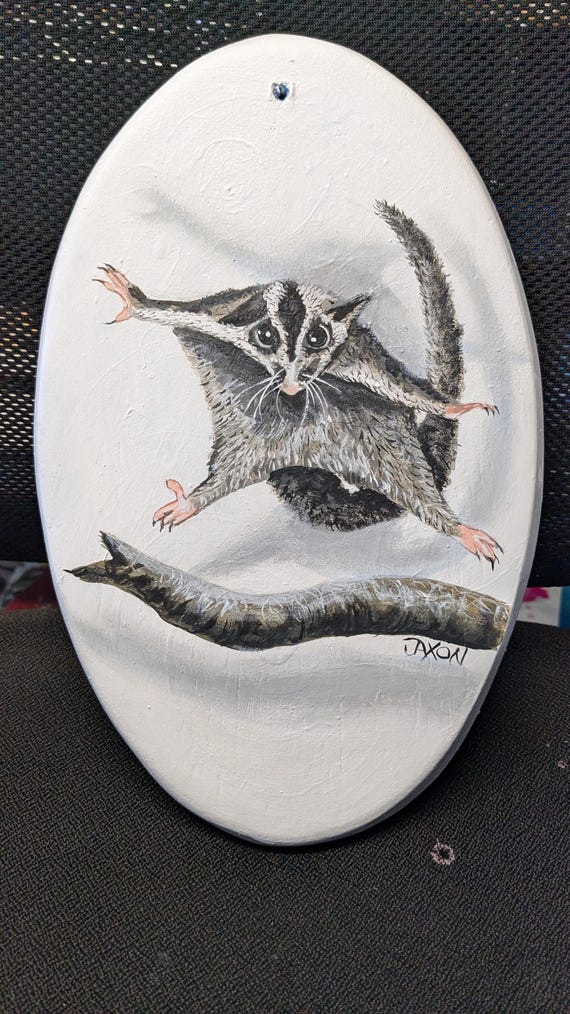 Sugar Glider | Original Painting Wall Art