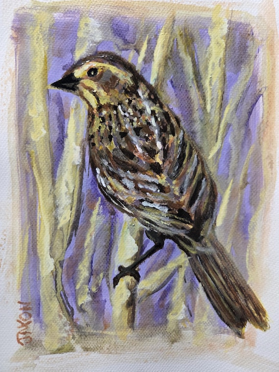 Female Red Wing Blackbird - Original Acrylic on watercolor paper