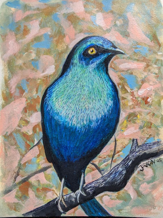 9x12 Original on watercolor paper ~ Starling