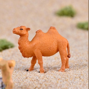 Mini cammello battriano per un'esposizione nel deserto, uno zoo in miniatura o un piccolo circo