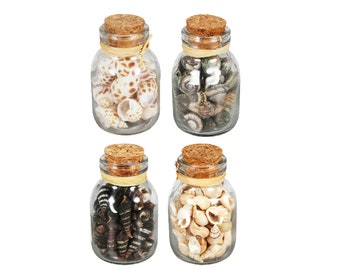 Decorative Seashell Embellishments for Crafting in a Decorative Small Glass Jar