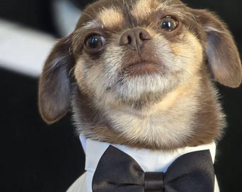 2 piece Quality Custom fit Dog tuxedo sm./med . choice of colors & bow tie