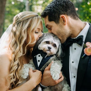 Gray Dog Tuxedo: Custom Fit Wedding Attire with Bow Tie