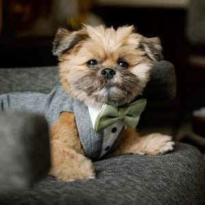 Gray Formal Wedding Dog Tuxedo: Custom Fit Pet Suit with Bow Tie