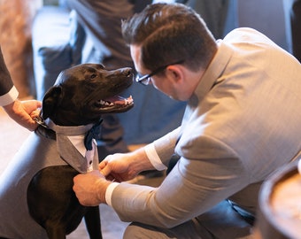 Large  Dog Wedding tuxedo, dog wedding, dog suit , dog bow tie, dog ring bearer, dog tuxedo bandanna, dog wedding attire, dog leash.