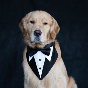 tuxedo Bandana, wedding Bandana, dog Collar, Dog bow tie , Homemade dog Wedding Tuxedo Bandana . dog tuxedo