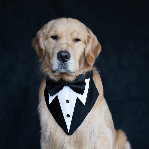Dog Tuxedo Etsy