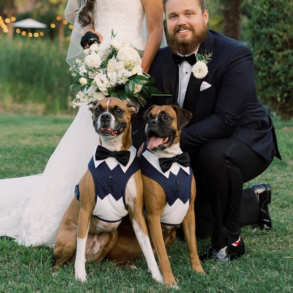 Large  wedding harness, Bow tie .