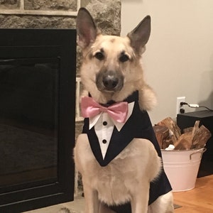 Extra Large Dog Tuxedo: Wedding Attire with Bow Tie & Bandanna