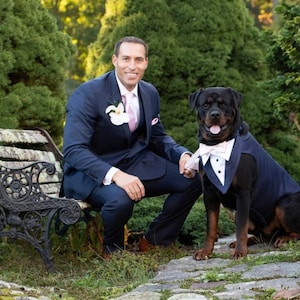 Extra  Extra  large 2 piece Dog  tuxedo . Dog wedding attire , Dog suit , bow tie .