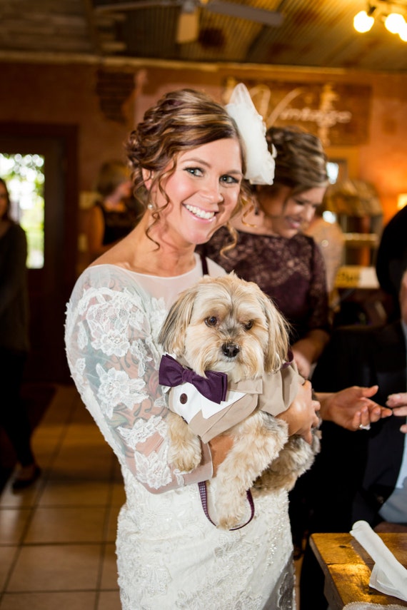 Tan Formal Esmoquin De Boda Para Perros Traje Hecho A Medida Etsy