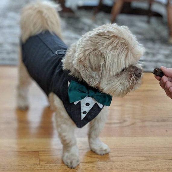 Ringkissen Hund Hochzeit Hochzeits Idee