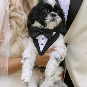 Custom Fit Dog Tuxedo: Solid Gray Wedding Pet Attire with Bow Tie