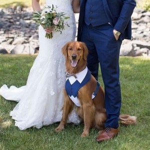 Large   Formal Dog  Tuxedo , dog wedding harness, dog ring bearer harness, dog formal suit , dog wedding attire, dog clothing