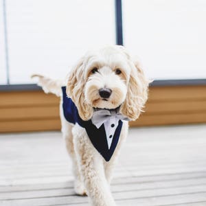 Navy wedding dog tuxedo, dog formal wear , dog wedding tuxedo , dog ring bearer, dog bandanna, dog bow tie , dog wedding outfit, dog leash.